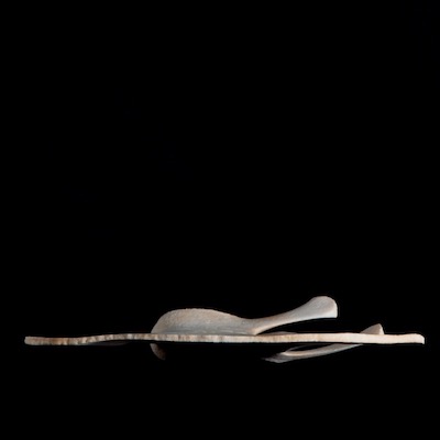 Basal_view