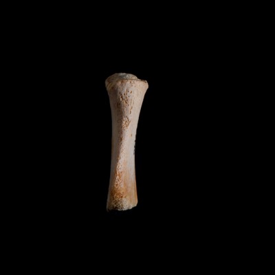 Left_side_view
