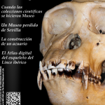 Captura de pantalla 2014-11-05 a las 10.08.45
